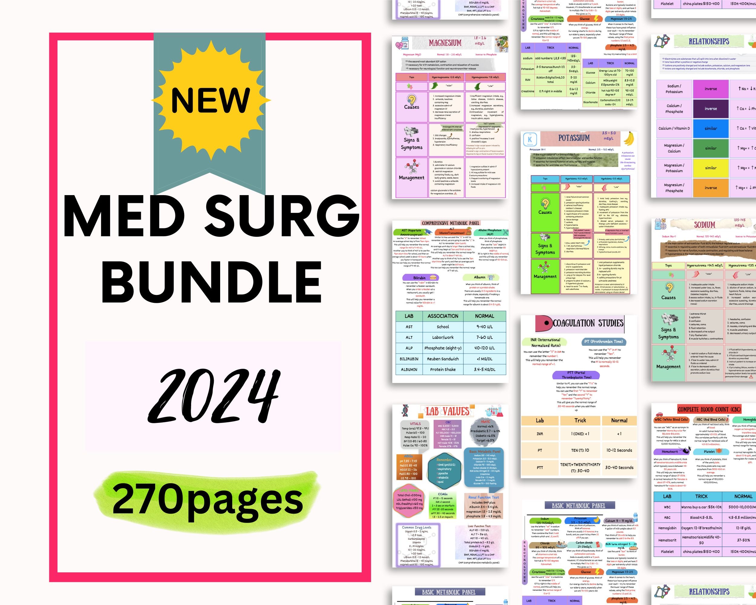 Med Surg Bundle| Medical-Surgical| Study guide